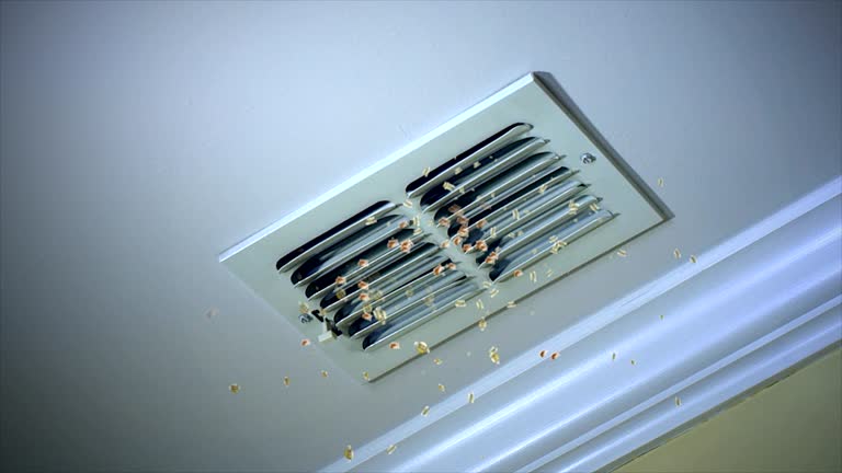Best HVAC Maintenance and Cleaning  in Roodhouse, IL