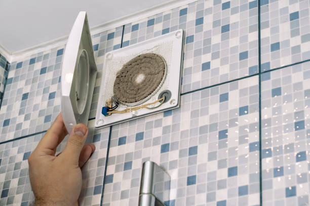 Best Professional Duct Cleaning Services  in Roodhouse, IL