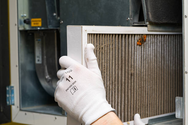Best Best Air Duct Cleaning Company  in Roodhouse, IL