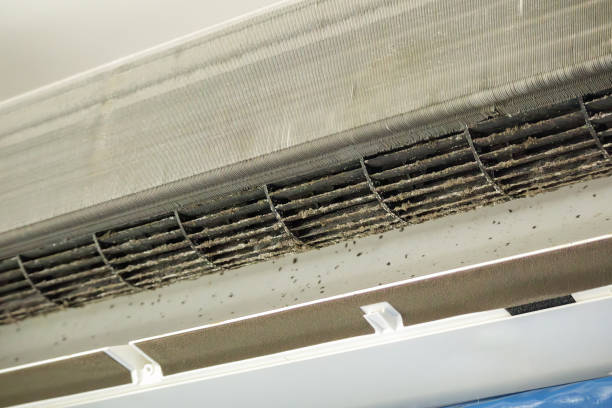 Best Air Duct Sanitizing Services  in Roodhouse, IL