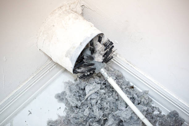 Best Local Air Duct Cleaning Services  in Roodhouse, IL